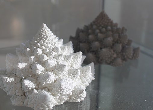 Foto Stina Lindholm Romanesco